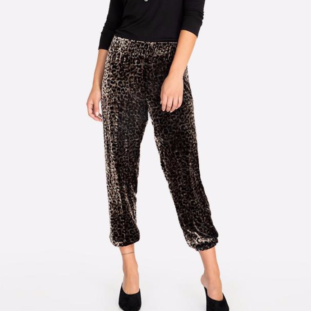 Johnny Was Leopard Velvet Jogger Pant L Large NWT